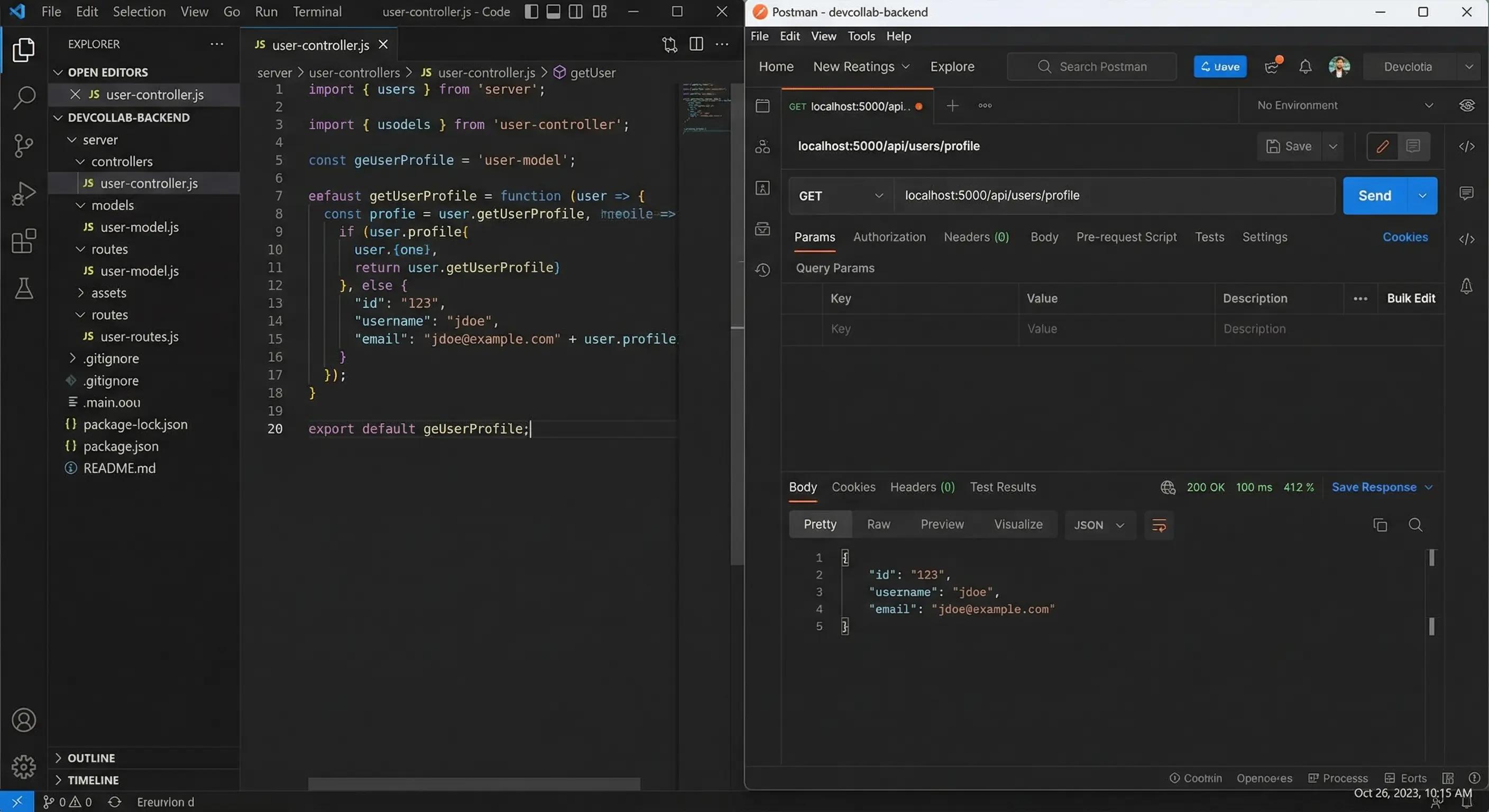 Screenshot showing the backend database structure or API testing